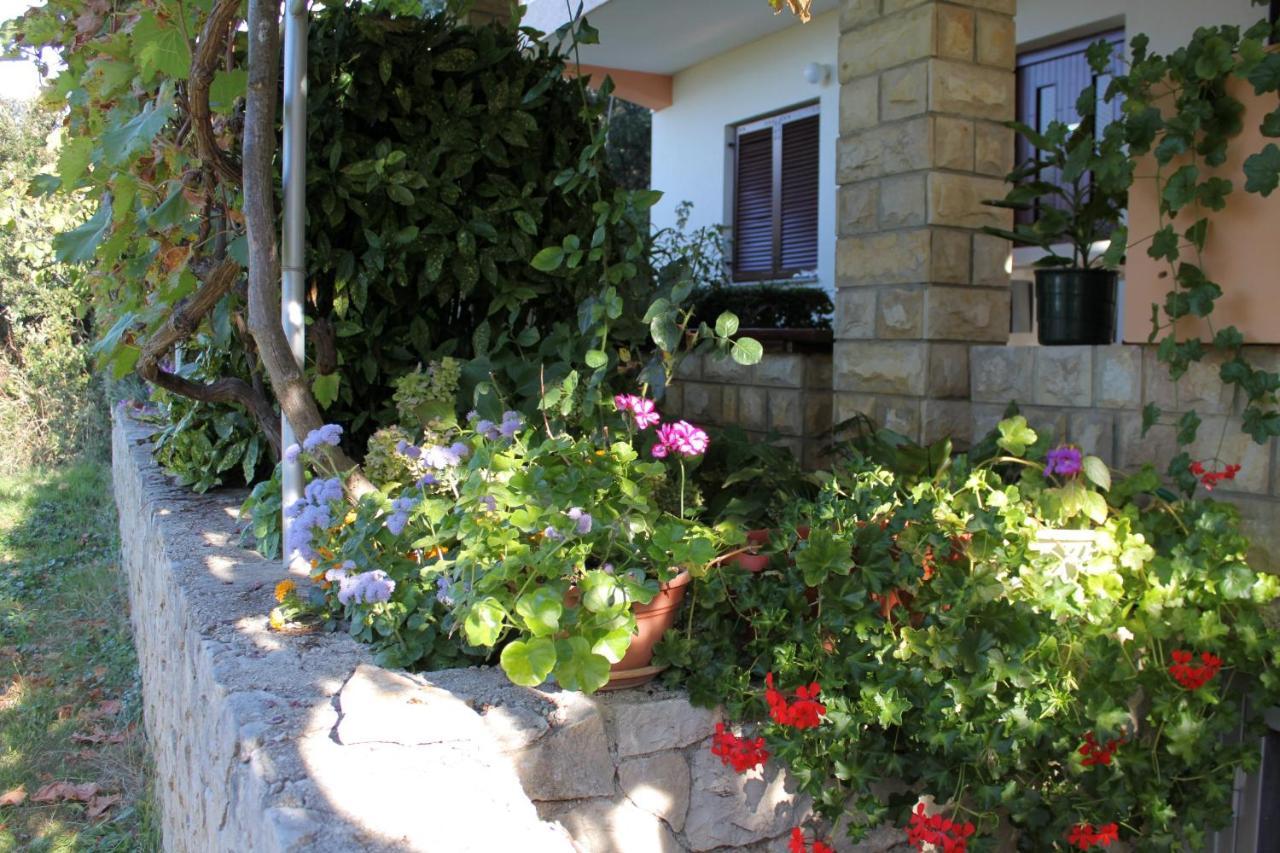 Family Friendly Seaside Apartments Kozino, Zadar - 5749 Petrcane Exterior foto